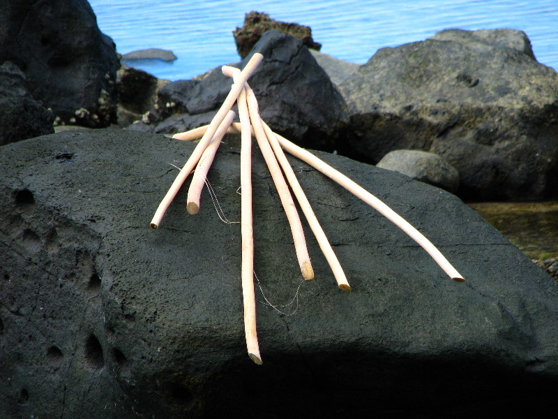 Lavena-Coastal-Walk-Bouma-National-Park-Taveuni-Fiji-052