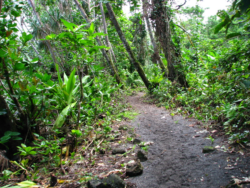 Lavena-Coastal-Walk-Bouma-National-Park-Taveuni-Fiji-058