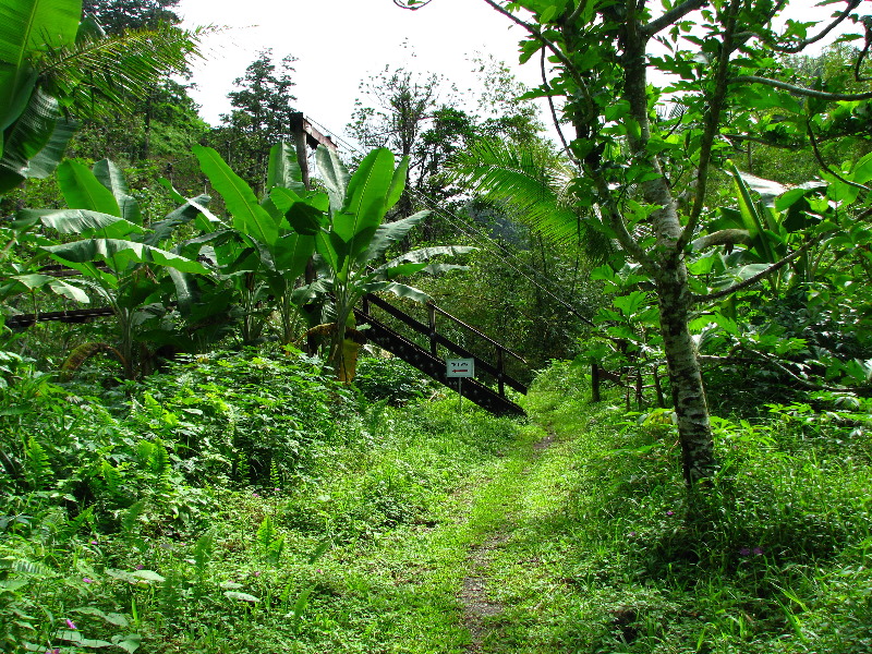 Lavena-Coastal-Walk-Bouma-National-Park-Taveuni-Fiji-061