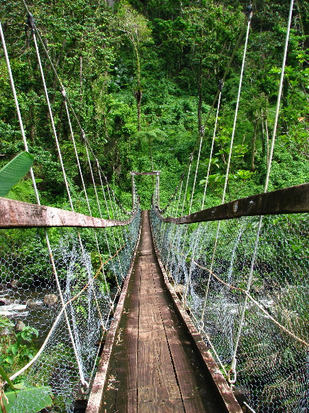 Lavena-Coastal-Walk-Bouma-National-Park-Taveuni-Fiji-064