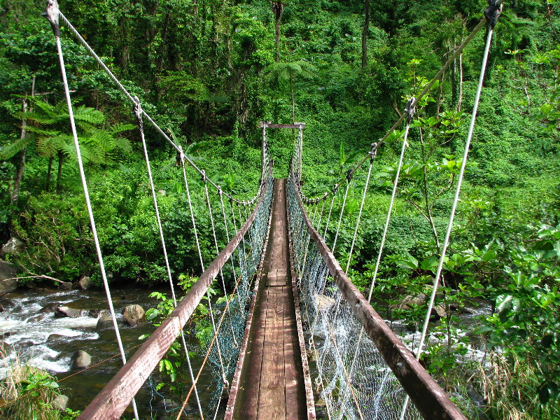 Lavena-Coastal-Walk-Bouma-National-Park-Taveuni-Fiji-065