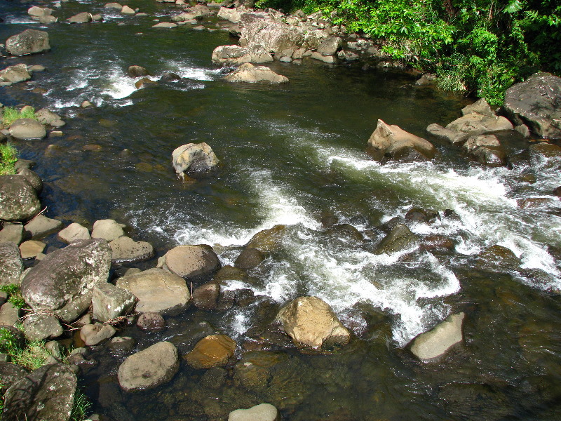 Lavena-Coastal-Walk-Bouma-National-Park-Taveuni-Fiji-067