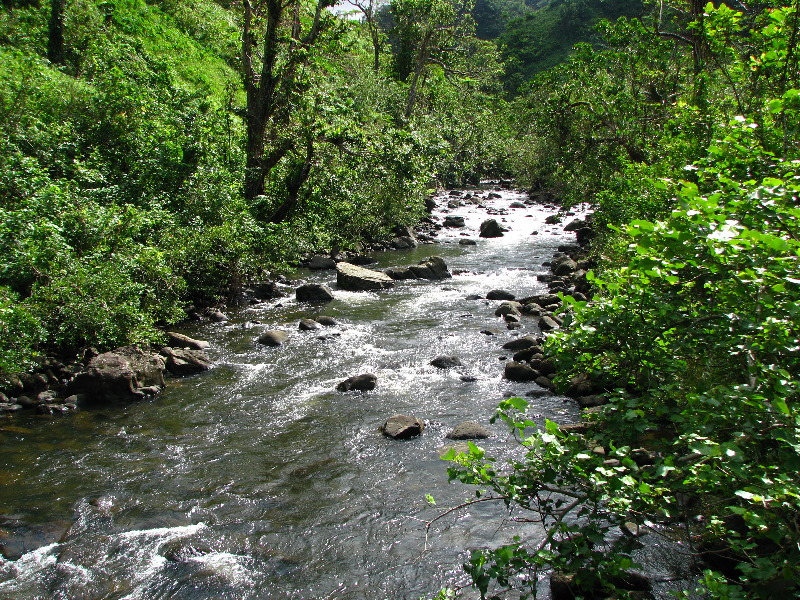 Lavena-Coastal-Walk-Bouma-National-Park-Taveuni-Fiji-068