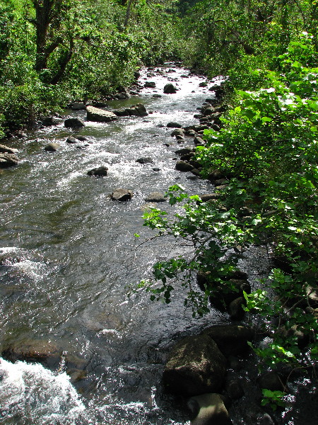 Lavena-Coastal-Walk-Bouma-National-Park-Taveuni-Fiji-069