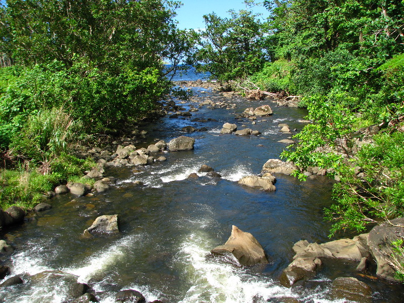 Lavena-Coastal-Walk-Bouma-National-Park-Taveuni-Fiji-070