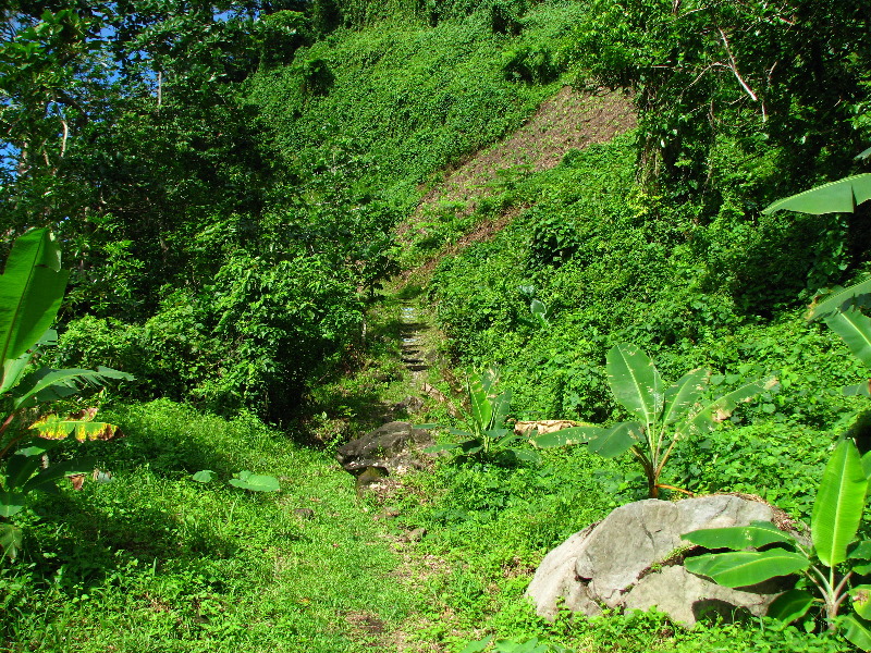 Lavena-Coastal-Walk-Bouma-National-Park-Taveuni-Fiji-072