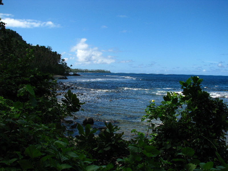 Lavena-Coastal-Walk-Bouma-National-Park-Taveuni-Fiji-075