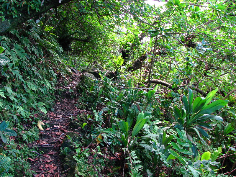 Lavena-Coastal-Walk-Bouma-National-Park-Taveuni-Fiji-080