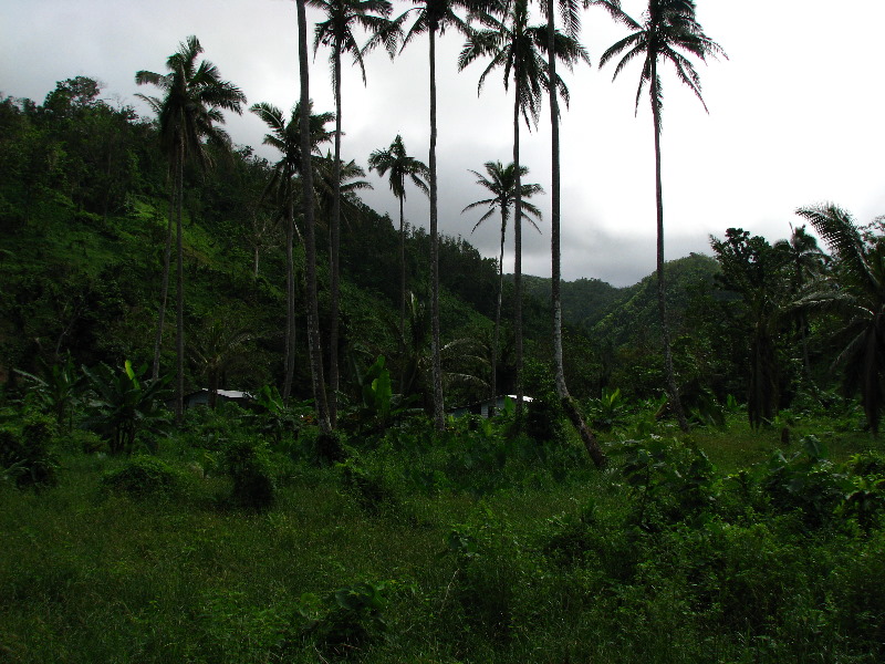 Lavena-Coastal-Walk-Bouma-National-Park-Taveuni-Fiji-086