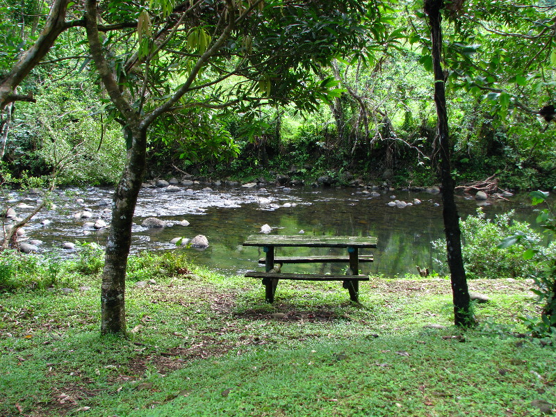 Lavena-Coastal-Walk-Bouma-National-Park-Taveuni-Fiji-088