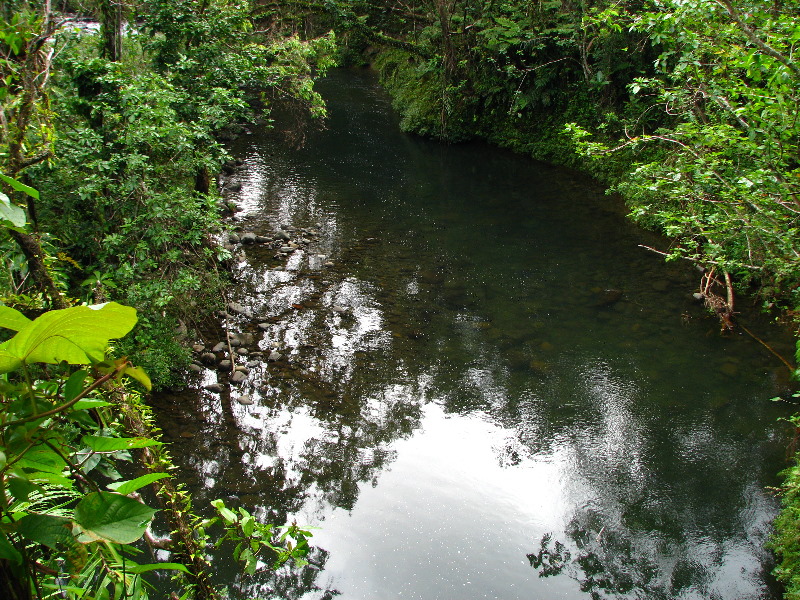 Lavena-Coastal-Walk-Bouma-National-Park-Taveuni-Fiji-089