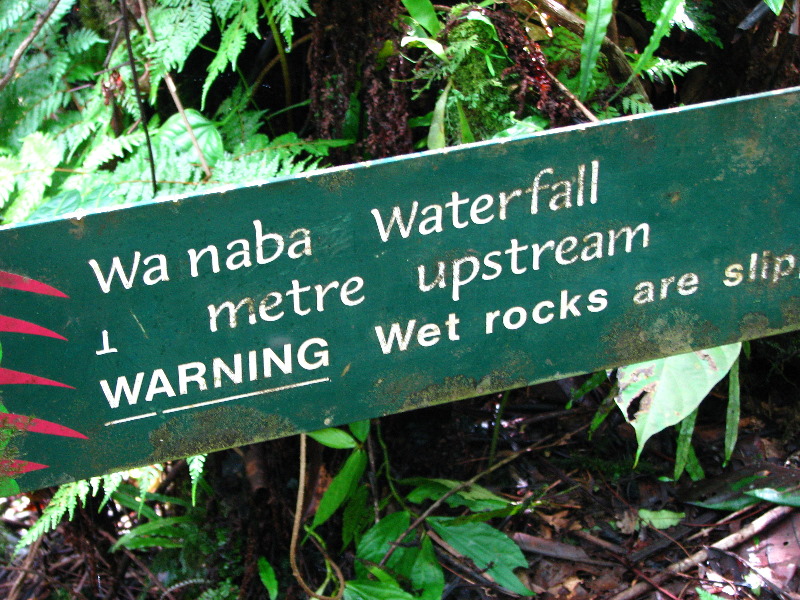 Lavena-Coastal-Walk-Bouma-National-Park-Taveuni-Fiji-092