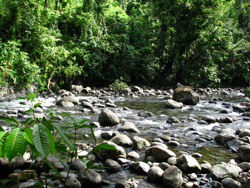 Lavena-Coastal-Walk-Bouma-National-Park-Taveuni-Fiji-093