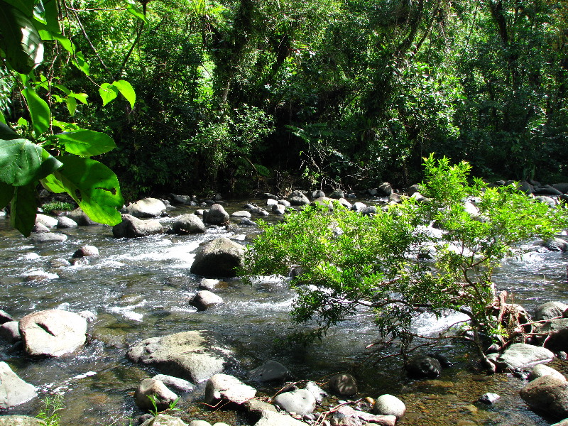 Lavena-Coastal-Walk-Bouma-National-Park-Taveuni-Fiji-094