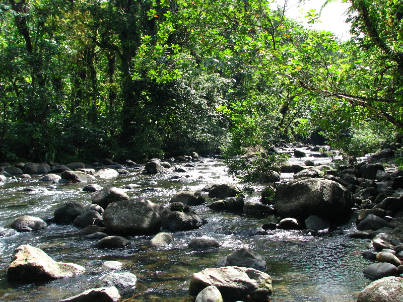 Lavena-Coastal-Walk-Bouma-National-Park-Taveuni-Fiji-095