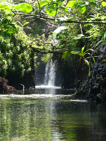 Lavena-Coastal-Walk-Bouma-National-Park-Taveuni-Fiji-097