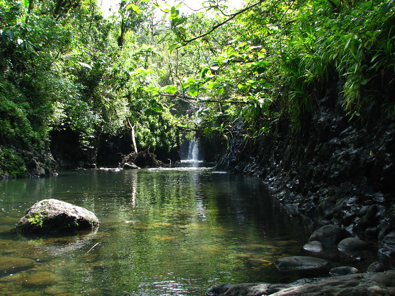 Lavena-Coastal-Walk-Bouma-National-Park-Taveuni-Fiji-098