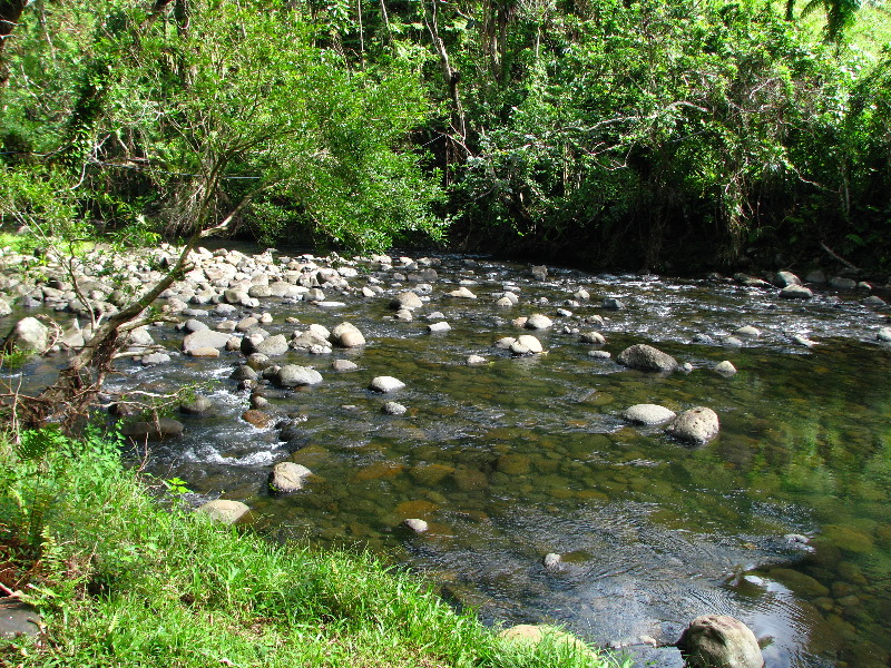 Lavena-Coastal-Walk-Bouma-National-Park-Taveuni-Fiji-103