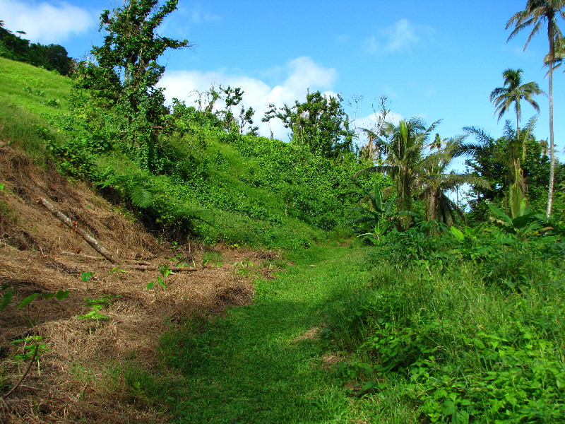 Lavena-Coastal-Walk-Bouma-National-Park-Taveuni-Fiji-109