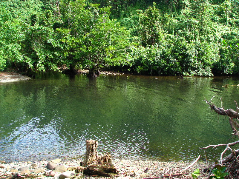 Lavena-Coastal-Walk-Bouma-National-Park-Taveuni-Fiji-116