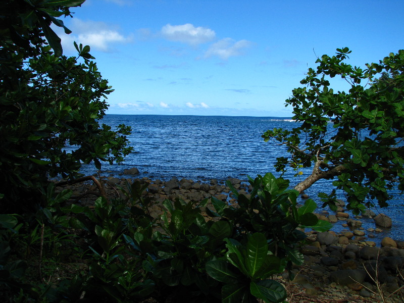 Lavena-Coastal-Walk-Bouma-National-Park-Taveuni-Fiji-117