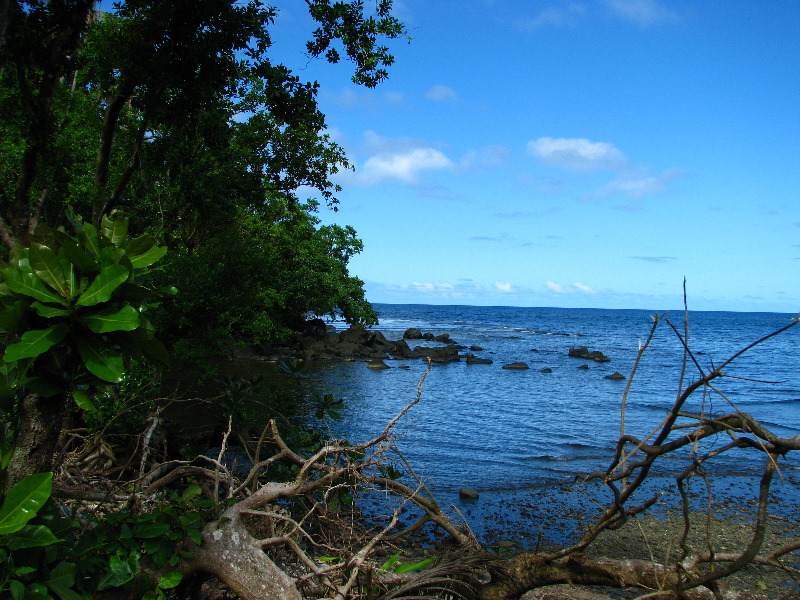 Lavena-Coastal-Walk-Bouma-National-Park-Taveuni-Fiji-118