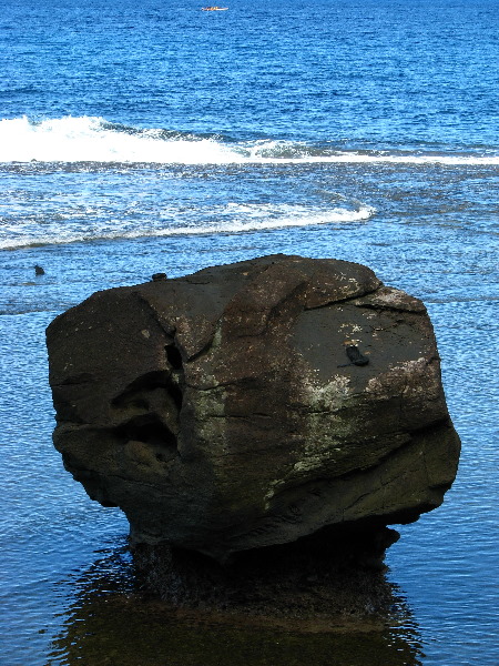 Lavena-Coastal-Walk-Bouma-National-Park-Taveuni-Fiji-122