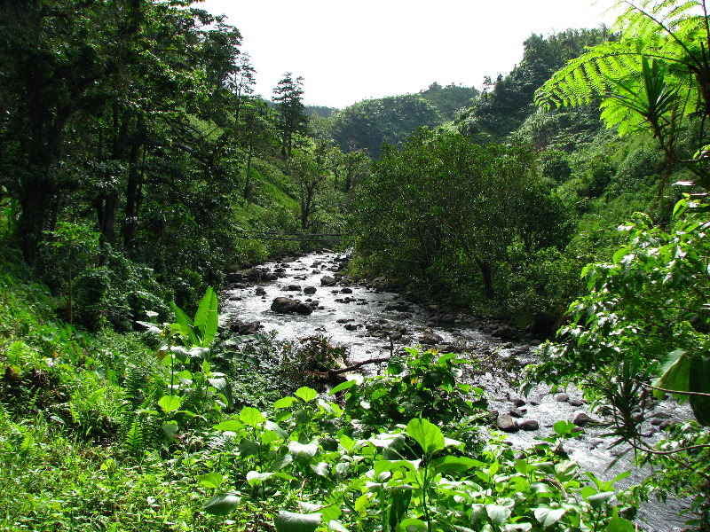 Lavena-Coastal-Walk-Bouma-National-Park-Taveuni-Fiji-127