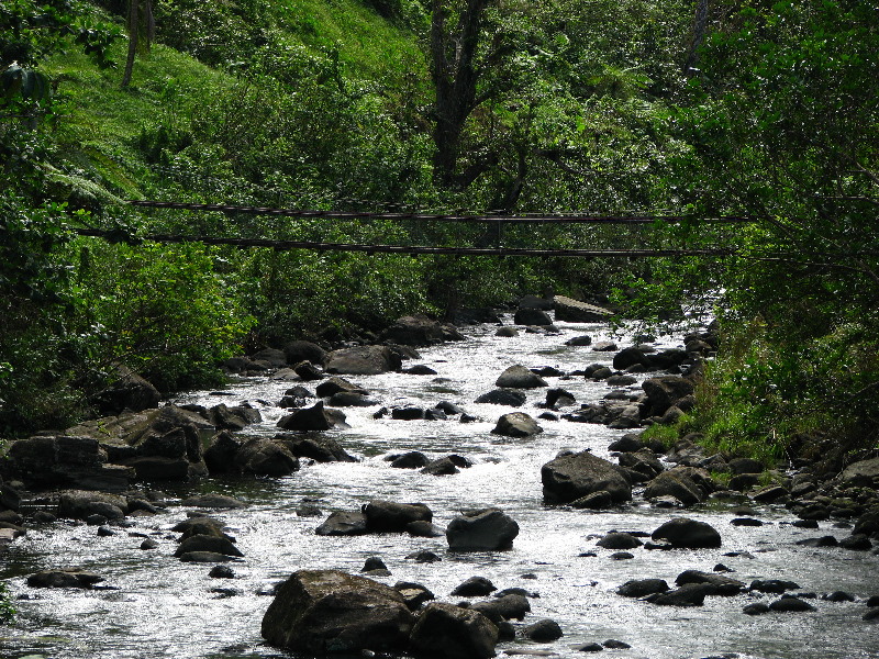 Lavena-Coastal-Walk-Bouma-National-Park-Taveuni-Fiji-128