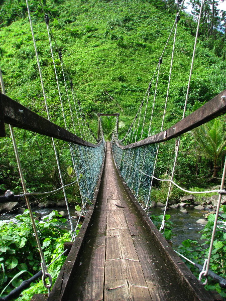 Lavena-Coastal-Walk-Bouma-National-Park-Taveuni-Fiji-129