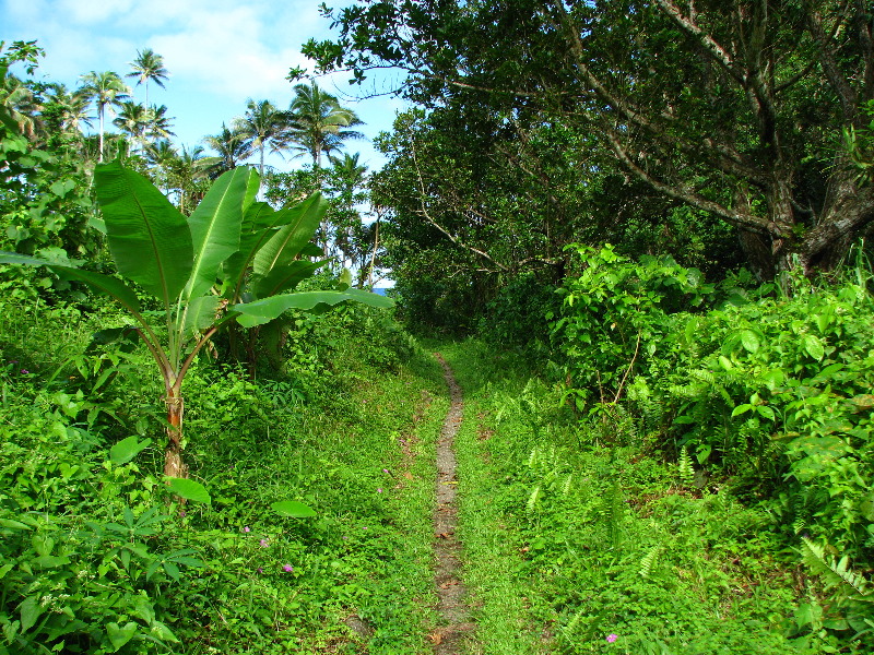 Lavena-Coastal-Walk-Bouma-National-Park-Taveuni-Fiji-133