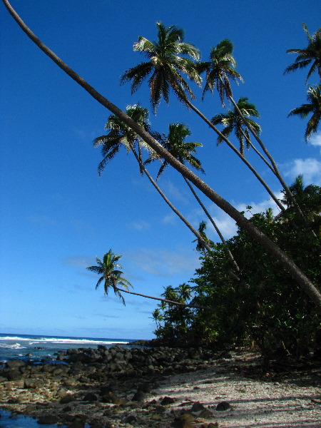 Lavena-Coastal-Walk-Bouma-National-Park-Taveuni-Fiji-138