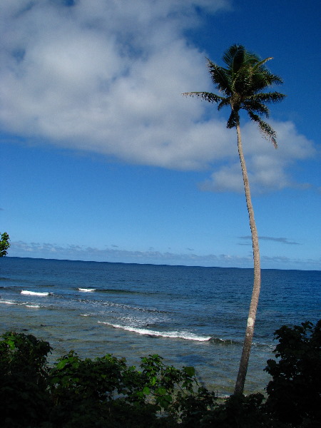 Lavena-Coastal-Walk-Bouma-National-Park-Taveuni-Fiji-139