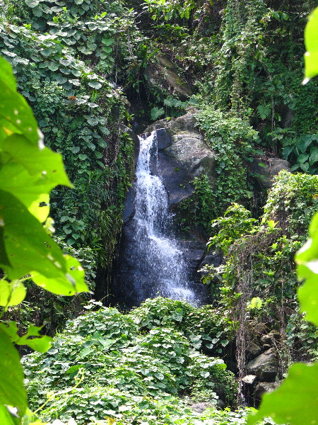 Lavena-Coastal-Walk-Bouma-National-Park-Taveuni-Fiji-141