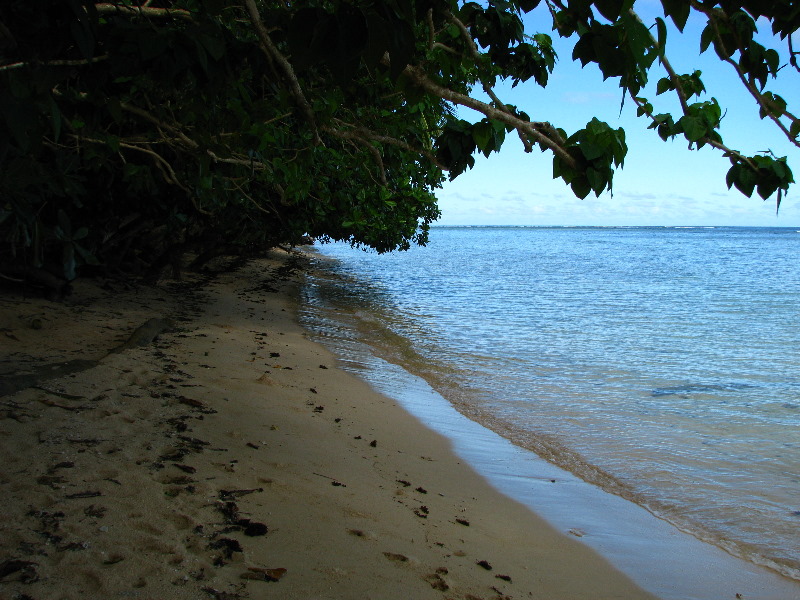 Lavena-Coastal-Walk-Bouma-National-Park-Taveuni-Fiji-151