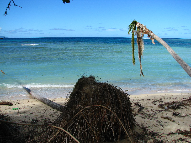 Lavena-Coastal-Walk-Bouma-National-Park-Taveuni-Fiji-164