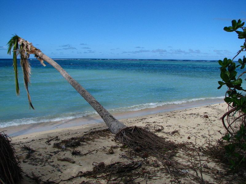 Lavena-Coastal-Walk-Bouma-National-Park-Taveuni-Fiji-165