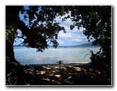 Lavena-Coastal-Walk-Bouma-National-Park-Taveuni-Fiji-009