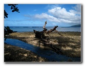 Lavena-Coastal-Walk-Bouma-National-Park-Taveuni-Fiji-019