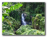 Lavena-Coastal-Walk-Bouma-National-Park-Taveuni-Fiji-034