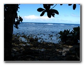 Lavena-Coastal-Walk-Bouma-National-Park-Taveuni-Fiji-037