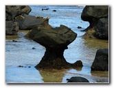 Lavena-Coastal-Walk-Bouma-National-Park-Taveuni-Fiji-043