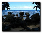 Lavena-Coastal-Walk-Bouma-National-Park-Taveuni-Fiji-044