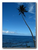 Lavena-Coastal-Walk-Bouma-National-Park-Taveuni-Fiji-045