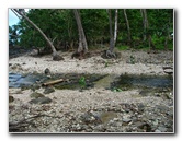 Lavena-Coastal-Walk-Bouma-National-Park-Taveuni-Fiji-047