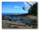 Lavena-Coastal-Walk-Bouma-National-Park-Taveuni-Fiji-049