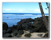 Lavena-Coastal-Walk-Bouma-National-Park-Taveuni-Fiji-057