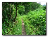 Lavena-Coastal-Walk-Bouma-National-Park-Taveuni-Fiji-059