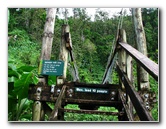 Lavena-Coastal-Walk-Bouma-National-Park-Taveuni-Fiji-062