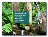 Lavena-Coastal-Walk-Bouma-National-Park-Taveuni-Fiji-063